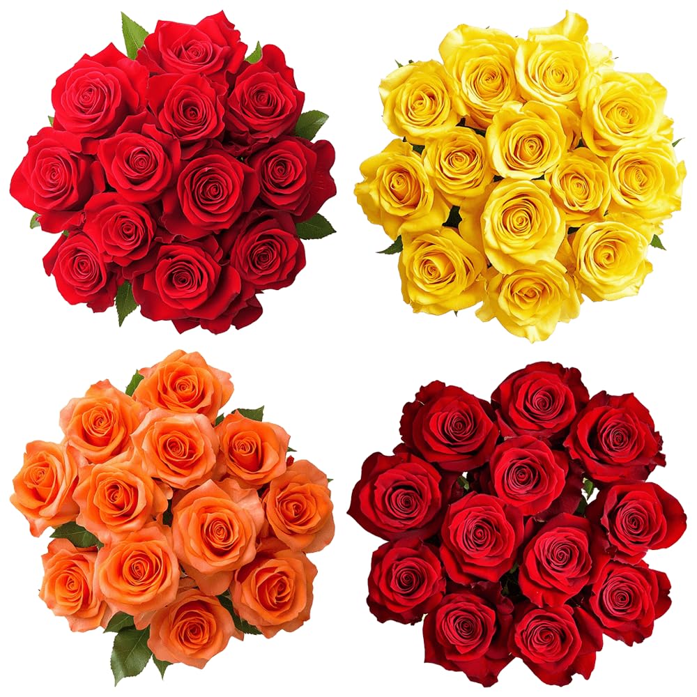 100 Fresh Cut Red & Assorted Roses (50 Red & 50 Assorted) - Real Fresh Flower Bouquet for Anniversary, Birthday, Wedding, Valentine's Day - Home Decor & Gift Delivery - Perfect for Romantic Surprises, Table Centerpieces, and Special Occasions