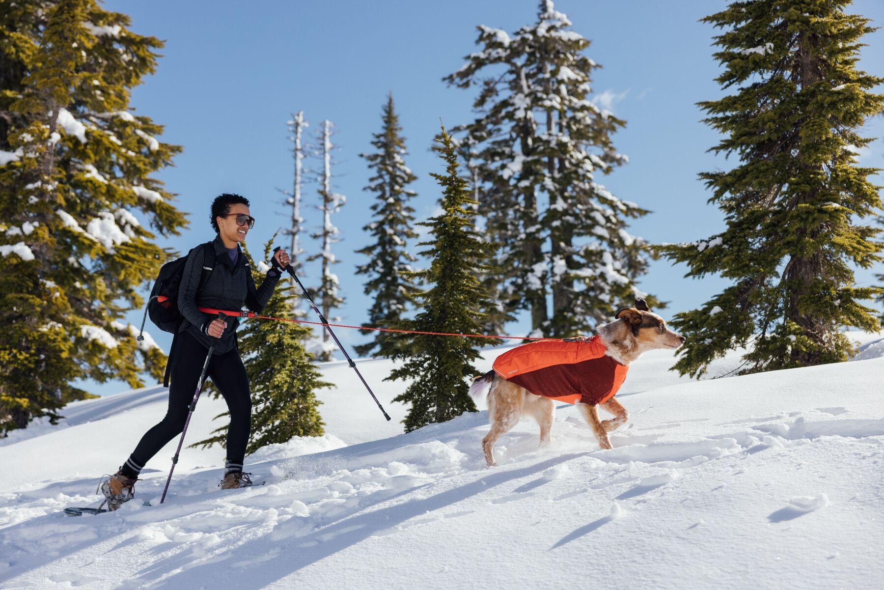 Ruffwear Powder Hound Hybrid Dog Jacket - Waterproof & Insulated Winter Coat for Active Dogs (Persimmon Orange) - Perfect for Hiking, Snow Play & Outdoor Adventures