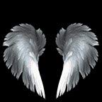 Angel Wing