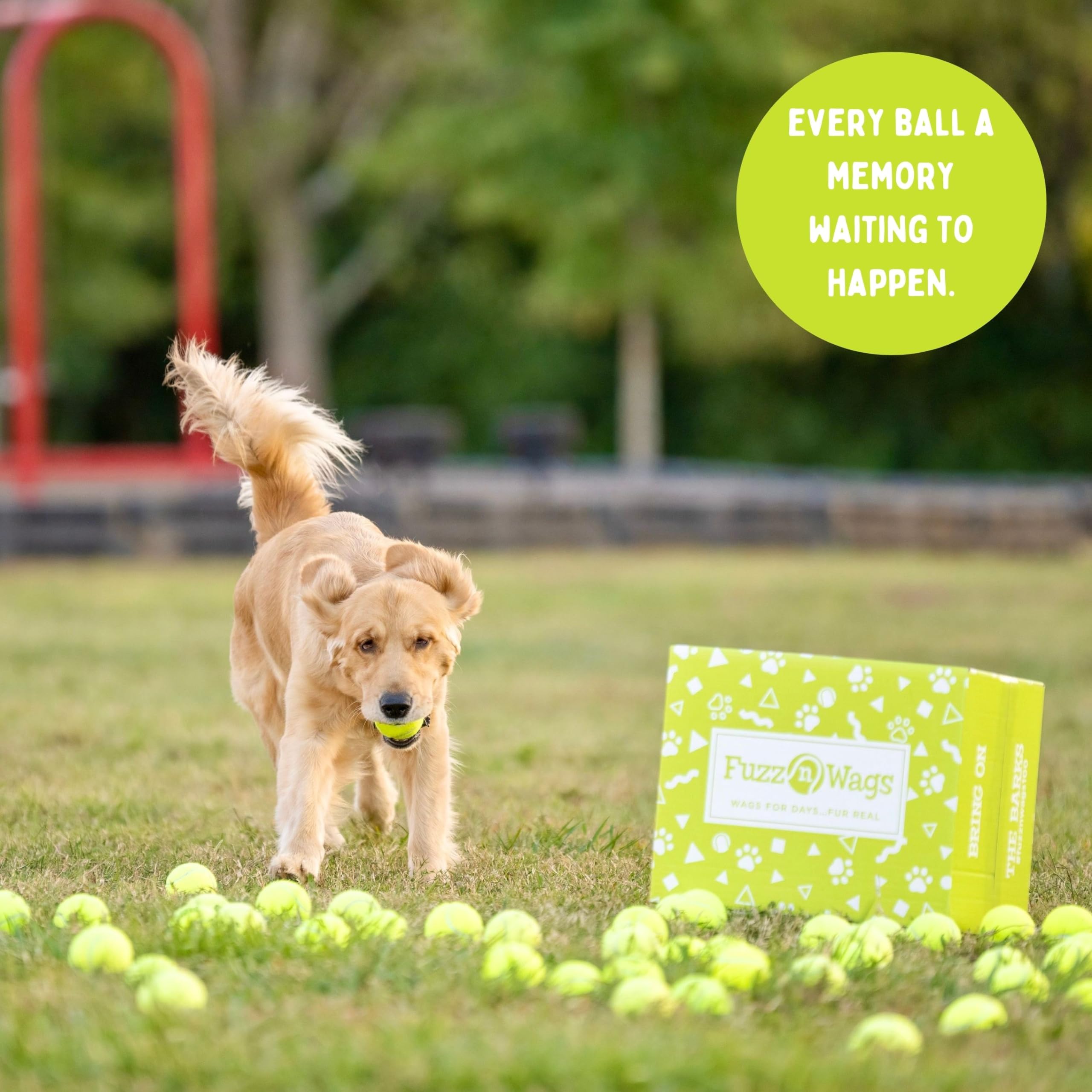 **100 Used Tennis Balls for Dogs - Bulk Recycled Dog Tennis Balls | Supports USA Tennis Ball Recycling NonProfit | Perfect for Fetch, Training & Playtime**