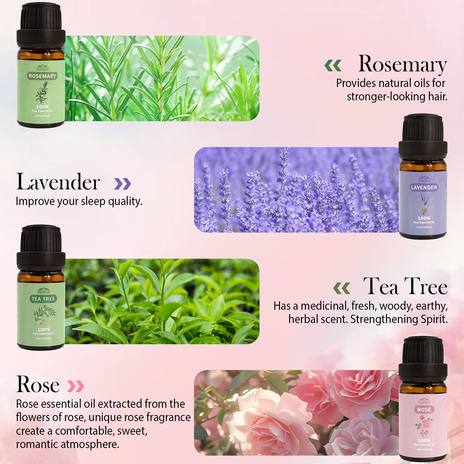 8 Pack 10ML Pure Aromatherapy Essential Oil Set - Peppermint, Lavender, Eucalyptus, Tea Tree, Rose, Rosemary, Clove & Orange for Diffusers, Candle Making, Massage & Relaxation - Spring 2025 Collection