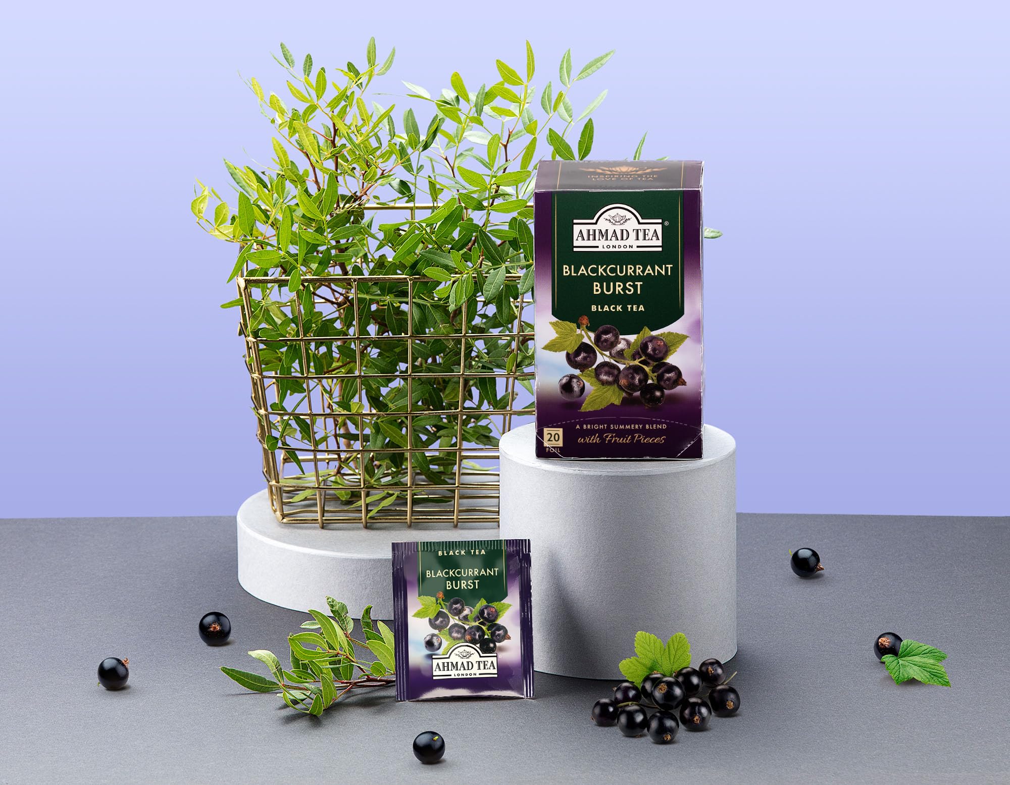 Ahmad Tea Black Currant Flavored Black Tea - 20 Tea Bags | Premium Fruit Infused Tea for Relaxation & Afternoon Tea Time