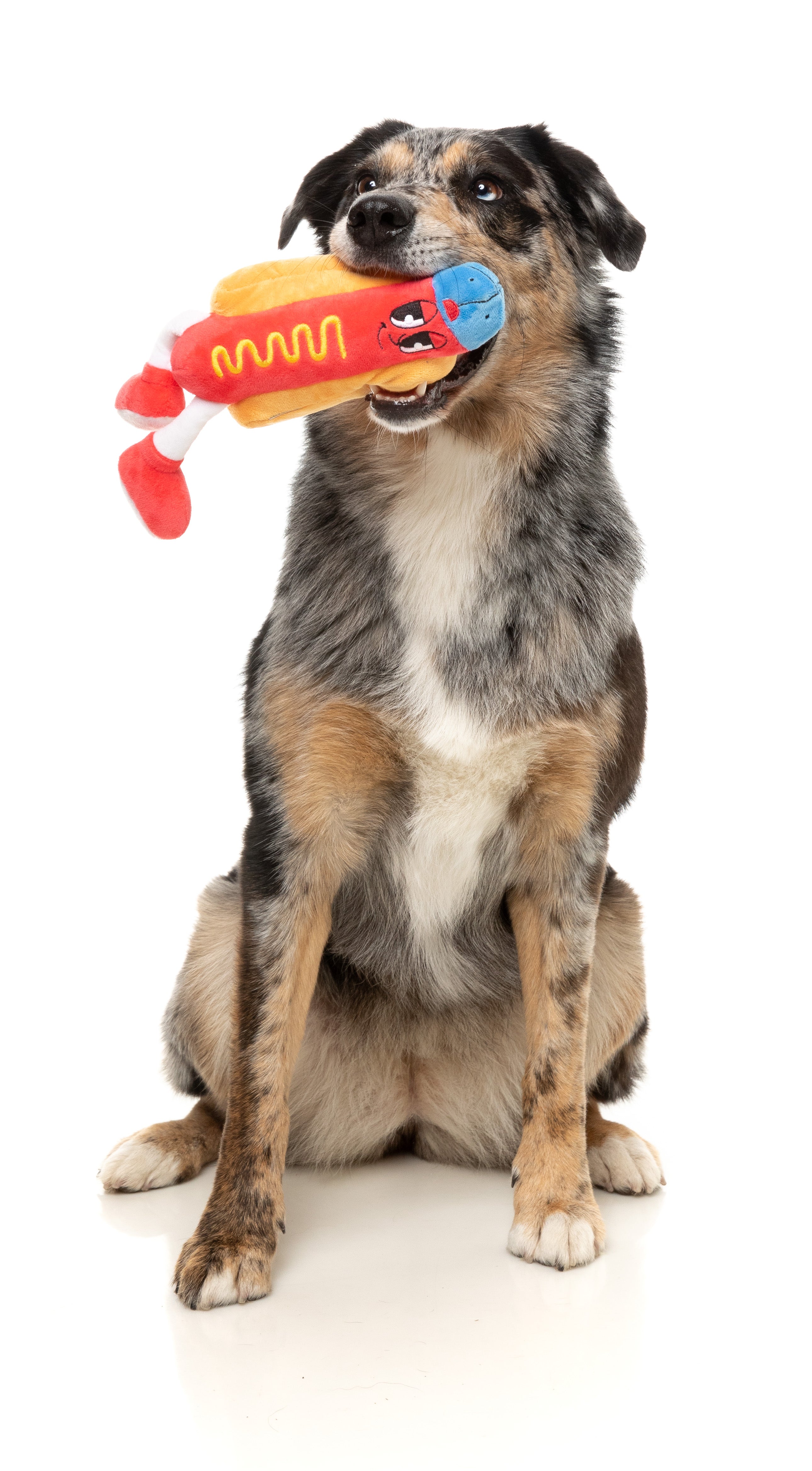 FuzzYard The Homies Squeaky Plush Dog Toy - Franky the Dog | Soft & Durable Plush Toy for Small & Medium Dogs | Perfect for Playtime, Training & Cuddling