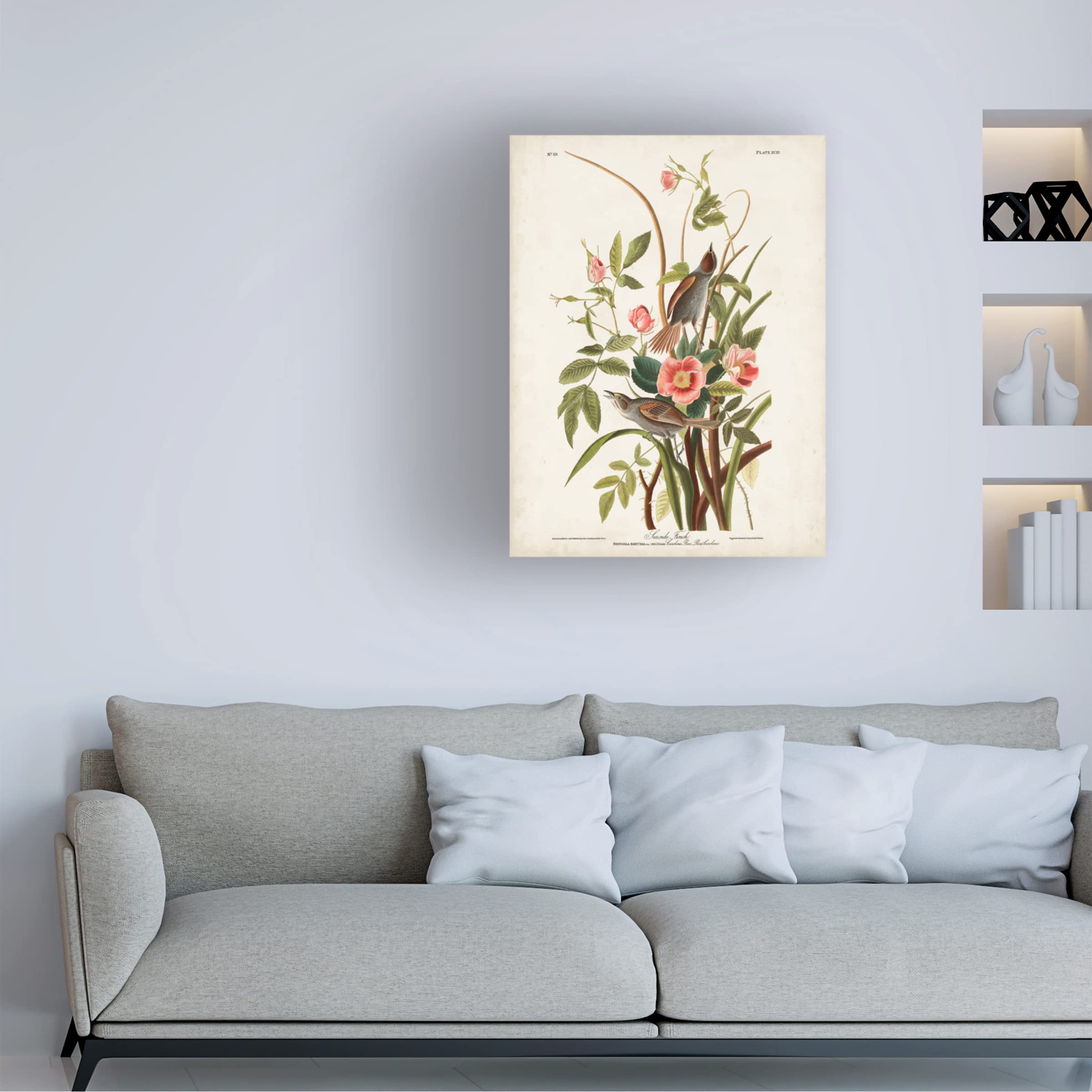 Trademark Fine Art 'Seaside Finch' by John James Audubon - 14x19 Inch Canvas Wall Art - Coastal Bird Painting for Beach House Decor & Nature-Inspired Living Room