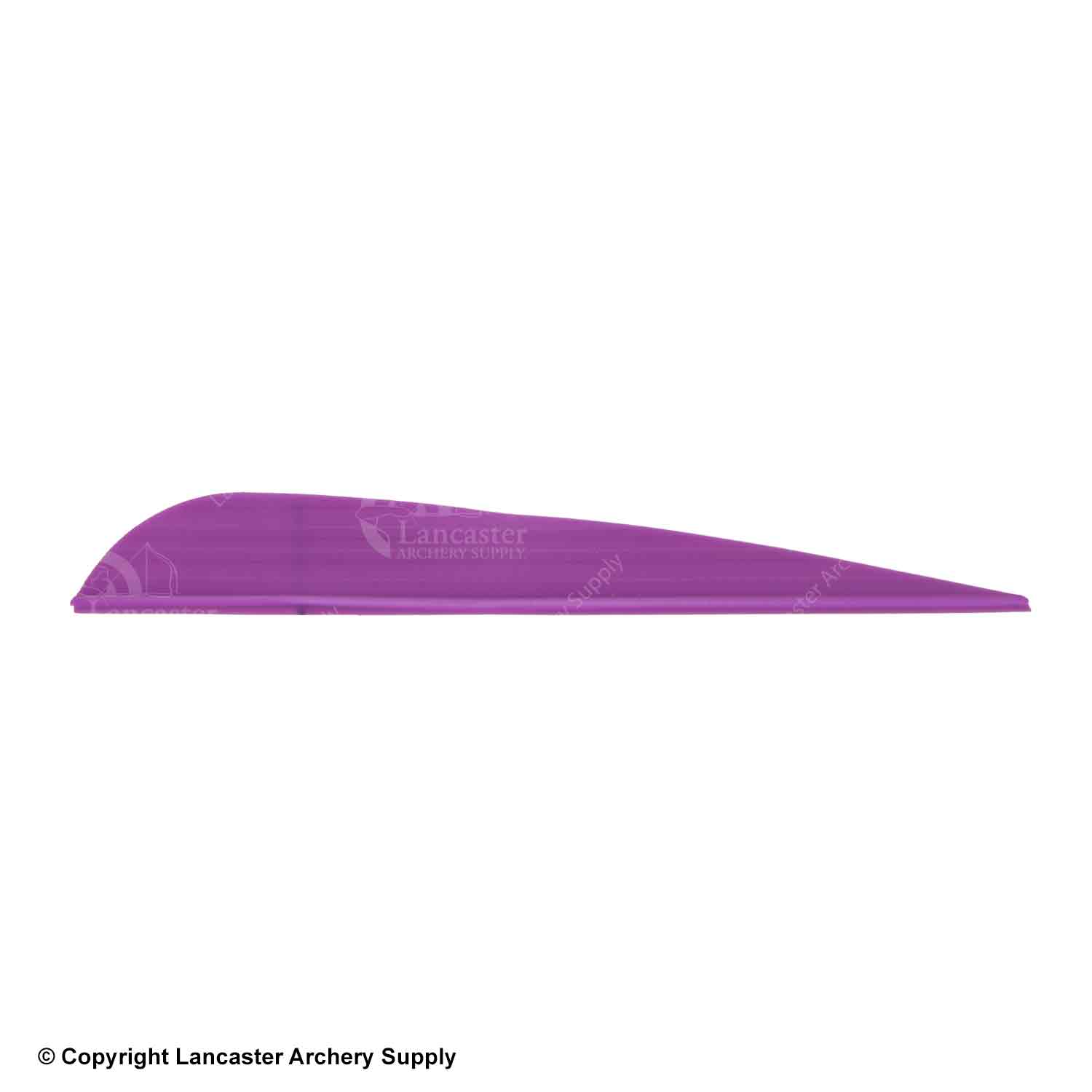 AAE Elite Plastifletch 40 Vanes (100 Pack) - High Performance Archery Vanes for Hunting & Target Shooting