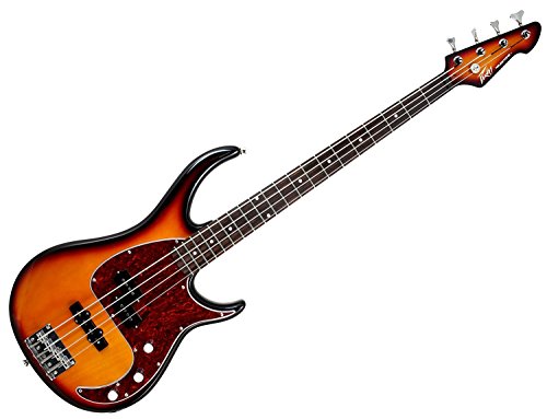 Vintage Burst