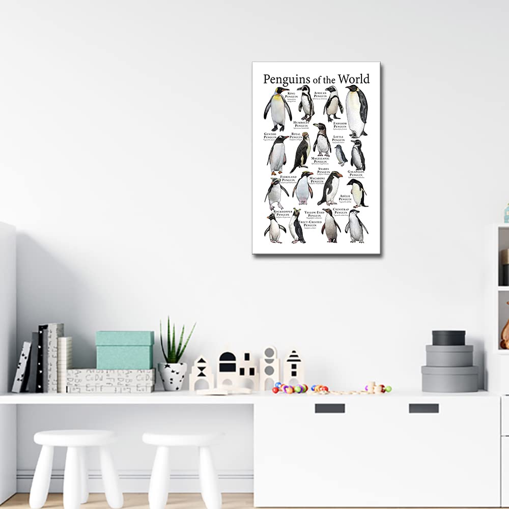 Penguin Wall Art Framed Canvas - 16x24 Inch Animal Knowledge Poster for Modern Office & Home Decor - Perfect for Classrooms, Kids Rooms & Educational Spaces
