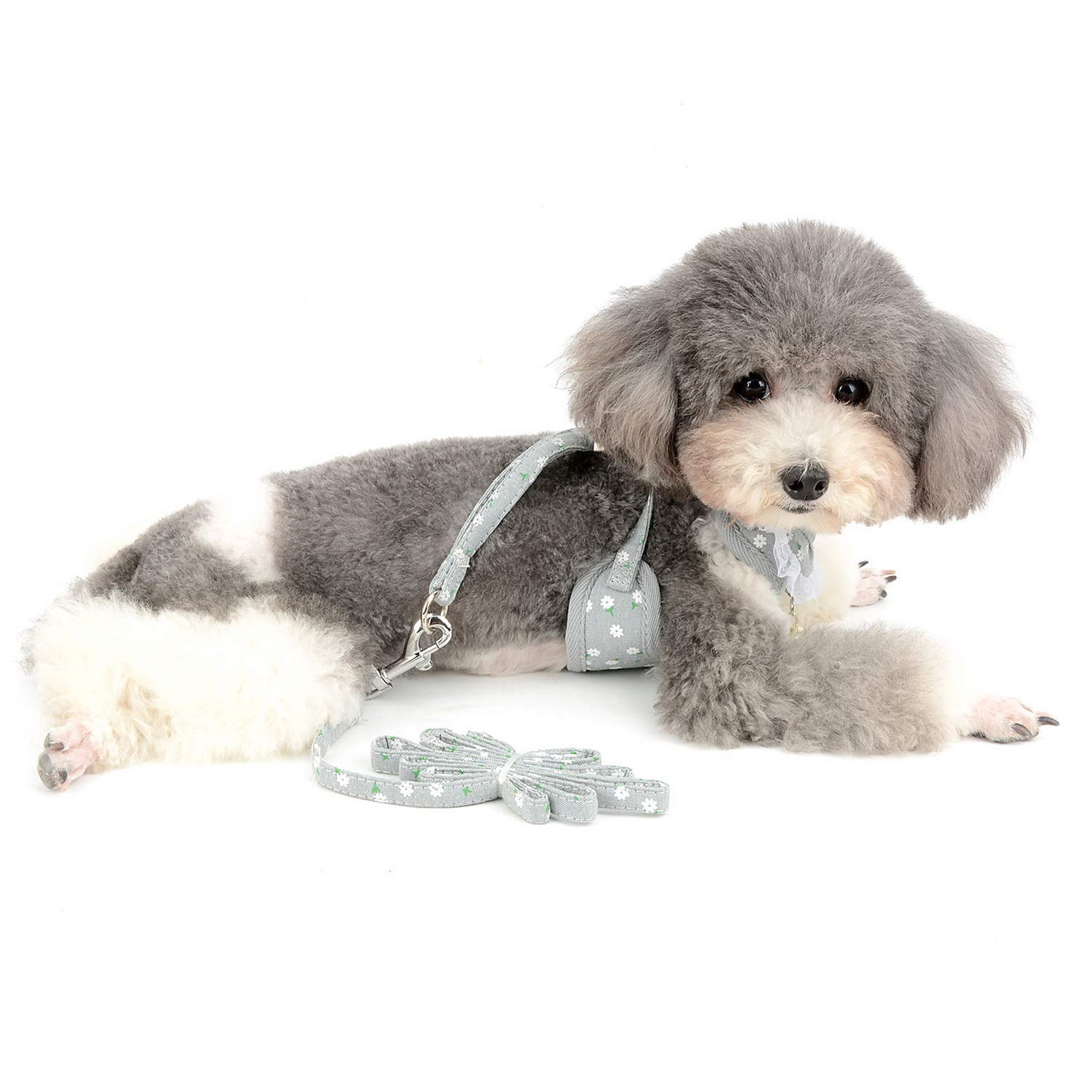 Escape-Proof Small Dog Vest Harness & Leash Set - Soft Mesh Padded Adjustable Puppy Summer Clothes with Lace Trim Collar Bell (Grey Flowers, Small) - Perfect for Walking, Training, and Outdoor Adventures with Your Kitten or Cat