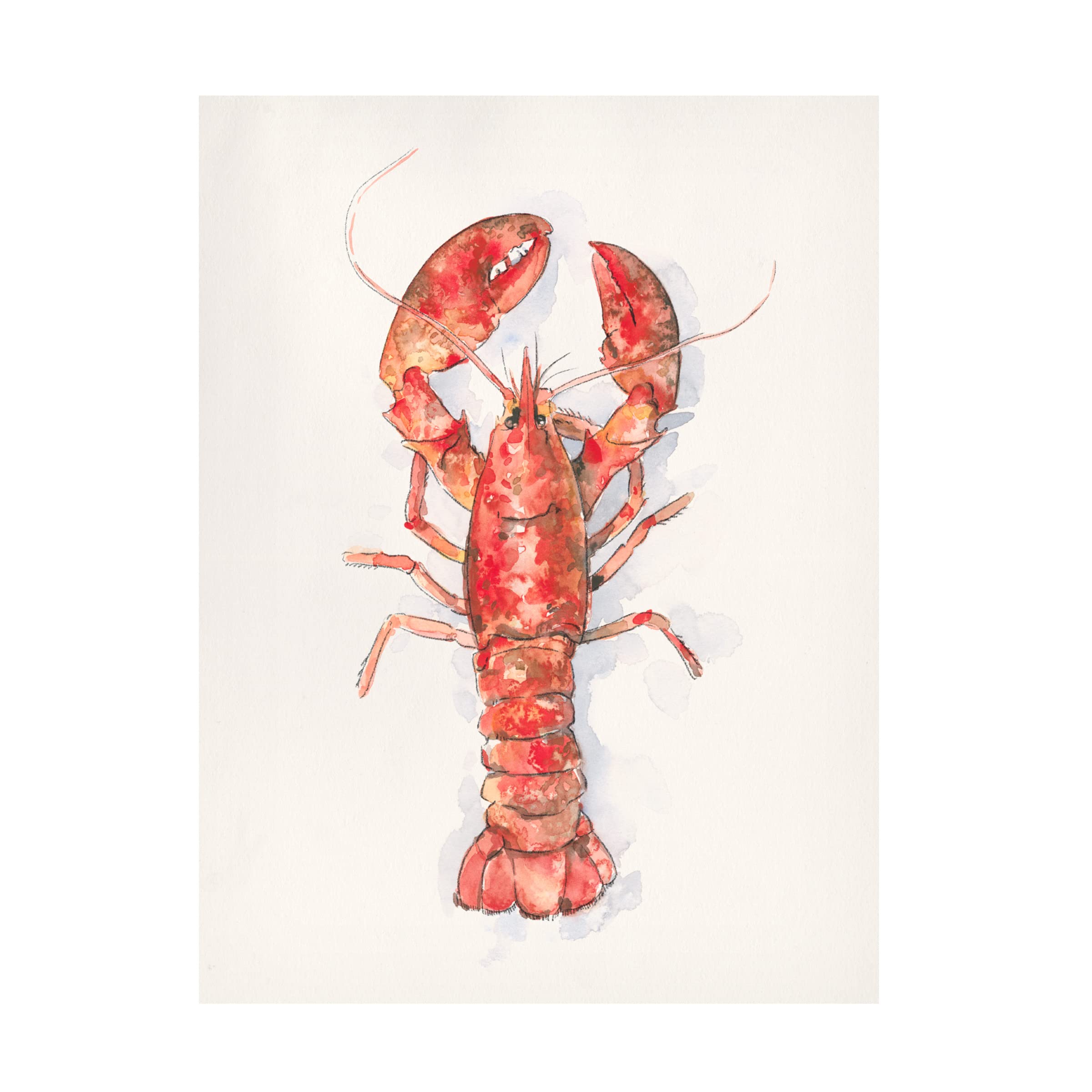 Emma Caroline 'Salty Lobster I' Canvas Wall Art Print - Coastal Beach Decor for Living Room, Bedroom & Office | Trademark Fine Art Collection