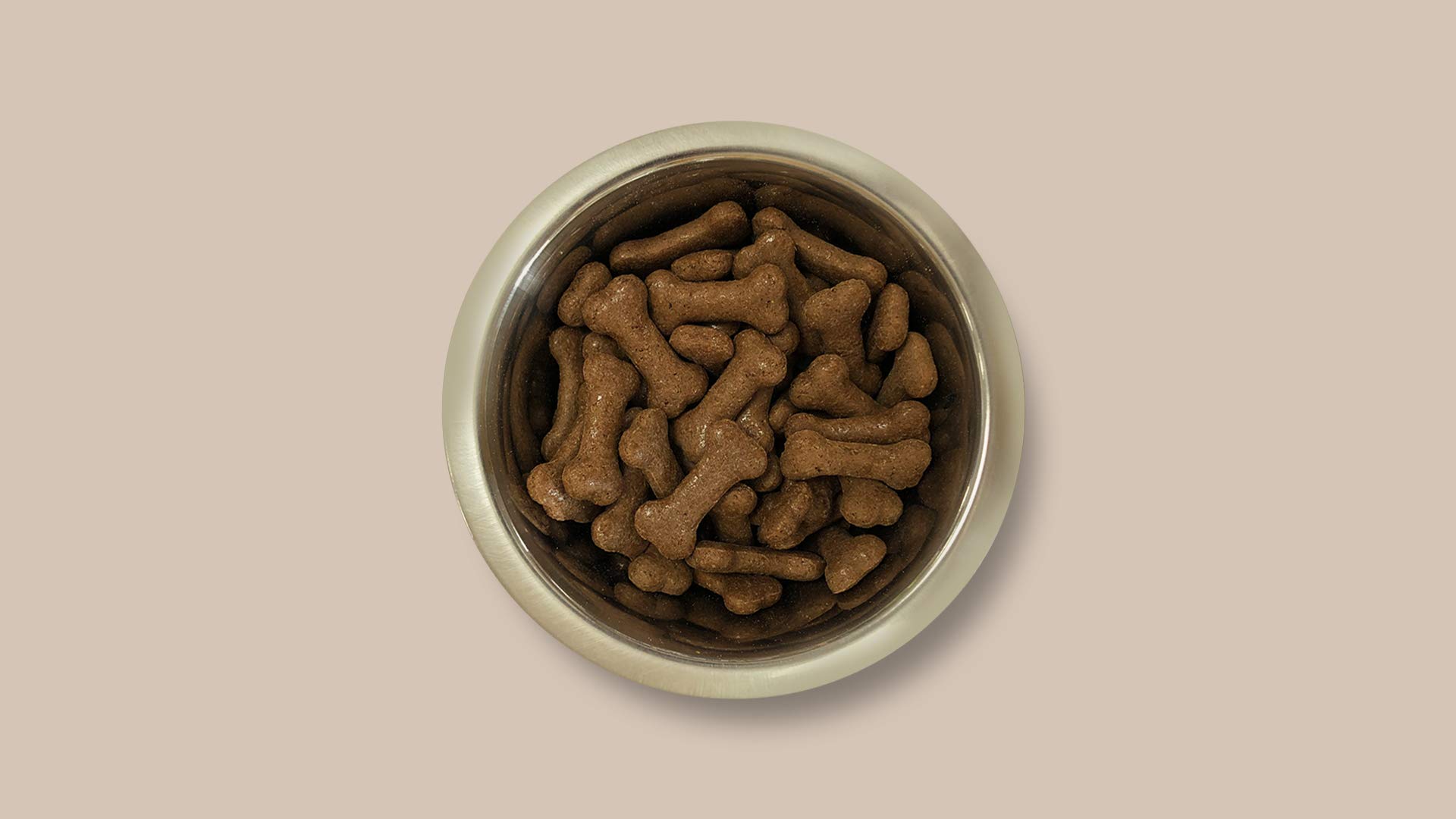 Pointer Beef Flavor Gravy Bones - Natural Dog Treats for Training & Rewards, High-Protein Chews for Dental Health, 1.5kg Bag - Perfect for Playtime & Bonding with Your Pet