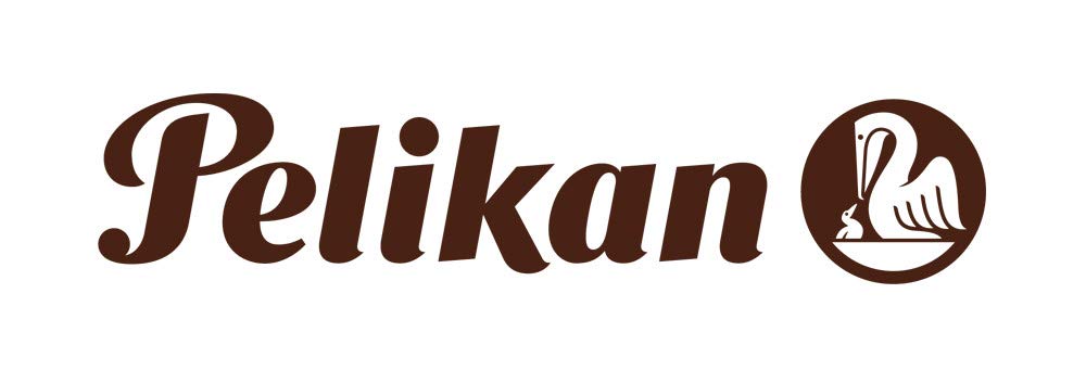 Pelikan Pura P40 Black/Silver Fountain Pen - Fine Nib for Smooth Writing | Premium German Design for Professionals & Collectors | Ideal for Office, Journaling & Gift Giving