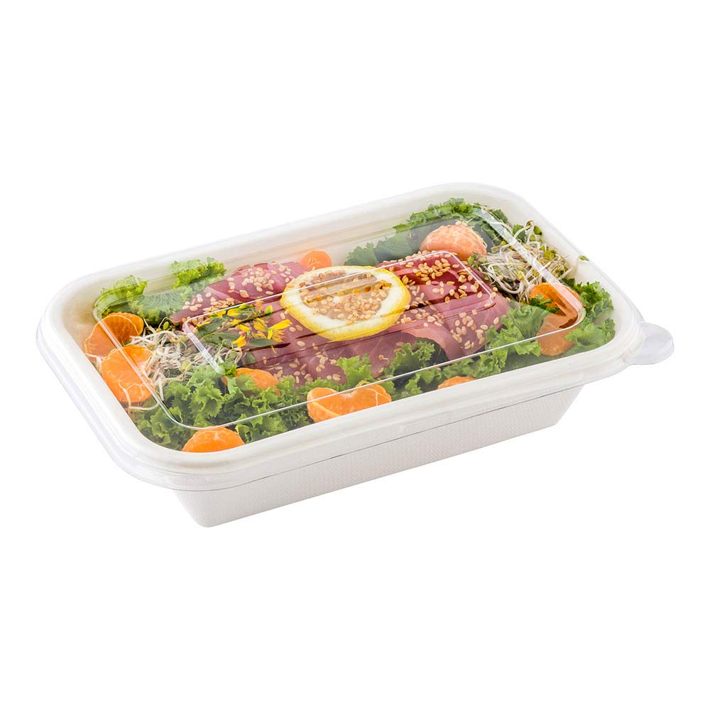 Disposable Plastic Flat Lids 100-Pack - Clear Pulp Tek Lids for 24oz & 32oz Bagasse Containers | Built-In Tab Design | Restaurantware & Takeout Use | Eco-Friendly Food Service Supplies for Cafes, Catering & Food Trucks