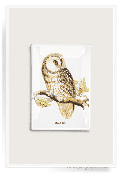 Handmade Sweet Owl Decoupage Glass Serving Tray - Unique Home Decor Gift for Tea Party, Coffee Table & Dining Room Decor