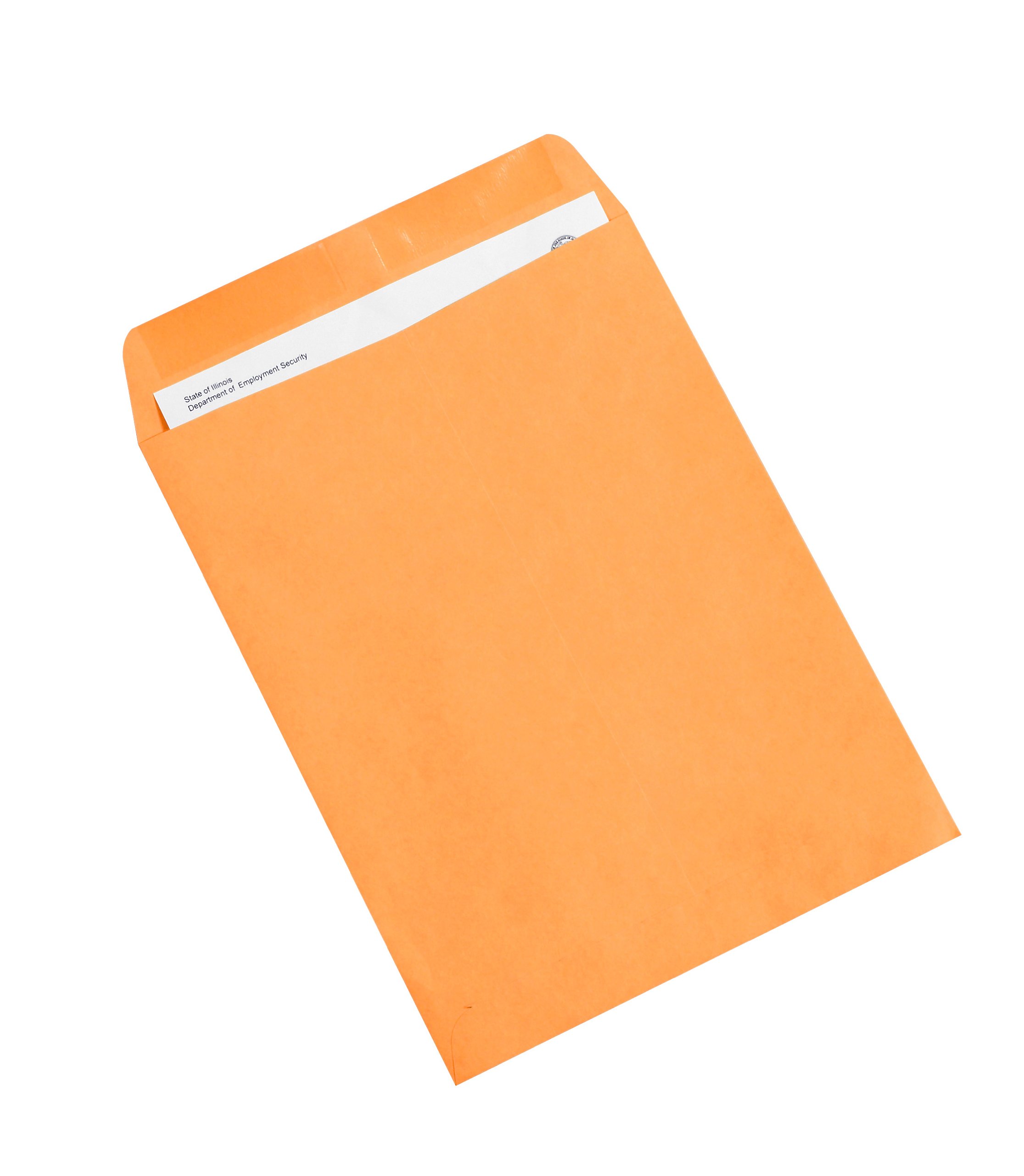 Aviditi Kraft Paper Envelopes 9.5