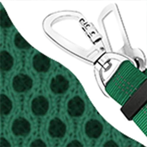 B8- Green (Double Clip 2 in 1)