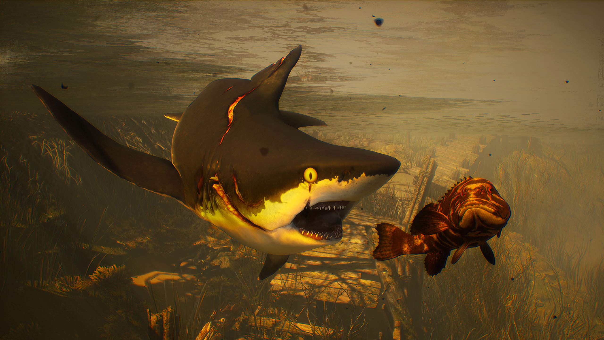 Maneater - PS4 Game for PlayStation 4 | Action RPG Underwater Adventure | Perfect for Shark Lovers & Open-World Gamers | Great for Single-Player Story Mode & Casual Gaming Sessions