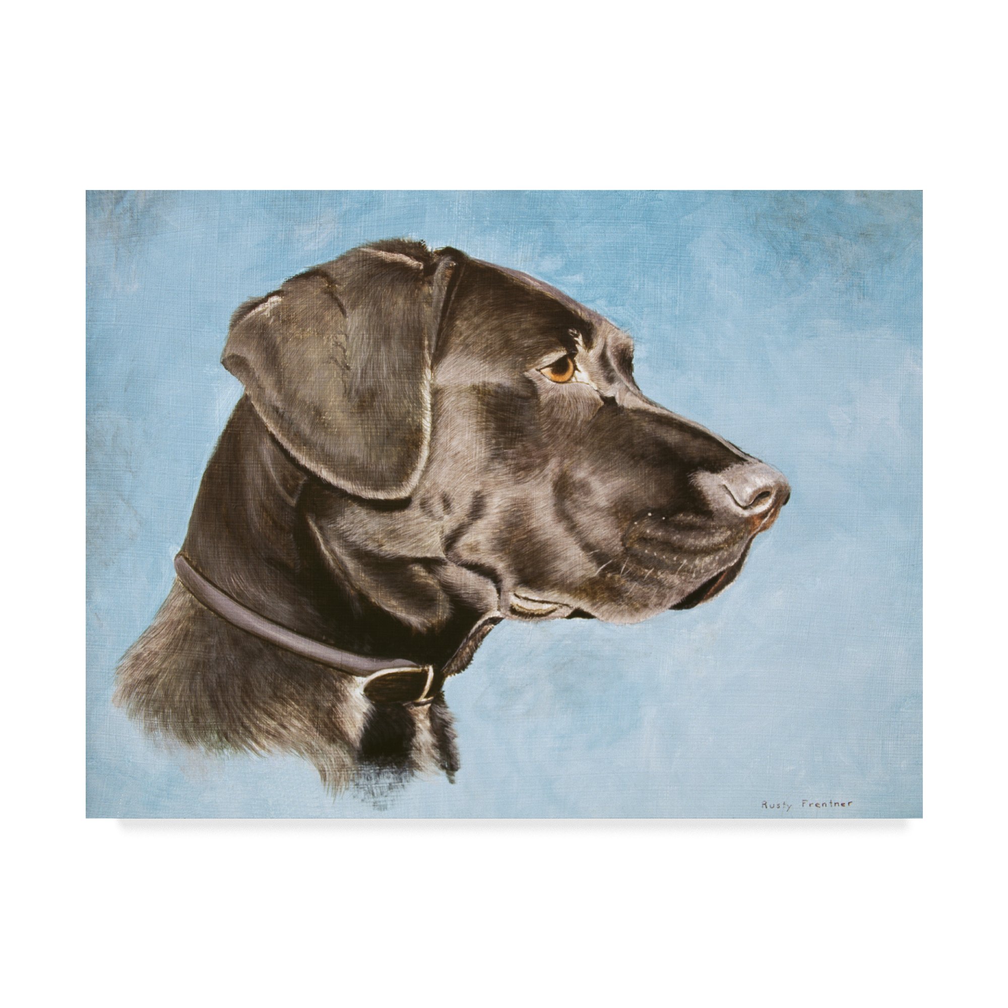 Rusty Frentner Chocolate Lab Dog Portrait Canvas Art Print - 35x47 Inch Wall Decor for Living Room, Bedroom & Office