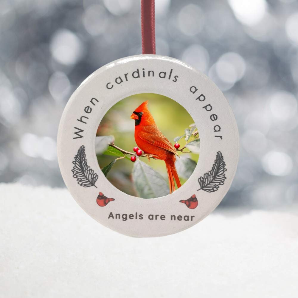 Cardinal Memorial Photo Ornament - Sympathy Gift for Loss of Loved One - Angel Remembrance Keepsake with Feather Accents - Perfect for Funeral, Memorial Service & Home Decoration