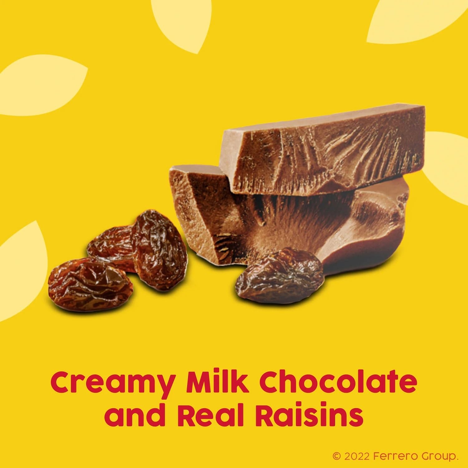 Nestle Raisinets 3.5oz Chocolate Covered Raisins - Movie Theater Candy Snack for Parties, Gifts & Home Entertainment