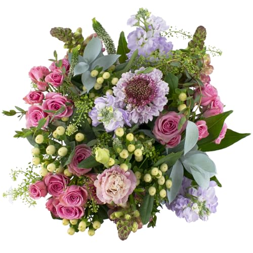 Pink and Lavender