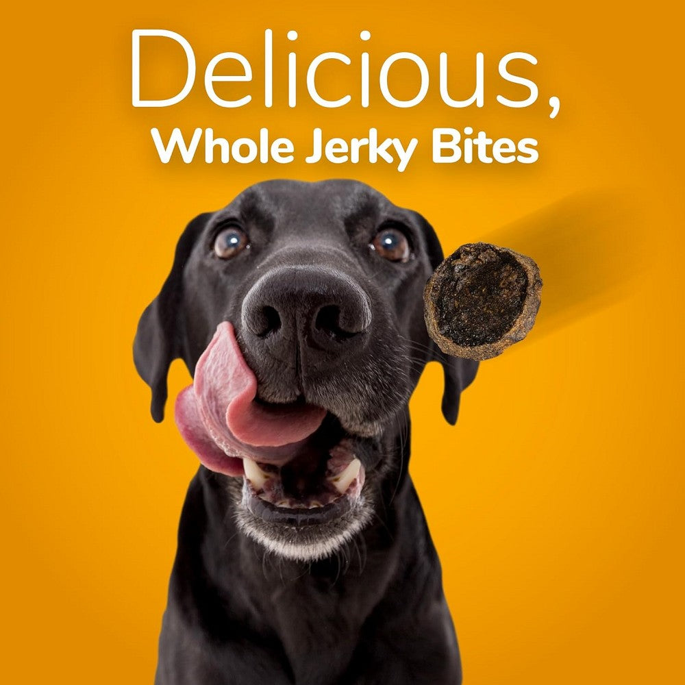 Premium Bison & Apple Whole Jerky Bites - All-Natural Dog Treats for Training, Rewards & Healthy Snacking - High-Protein, Grain-Free Dog Chews for Active Pets