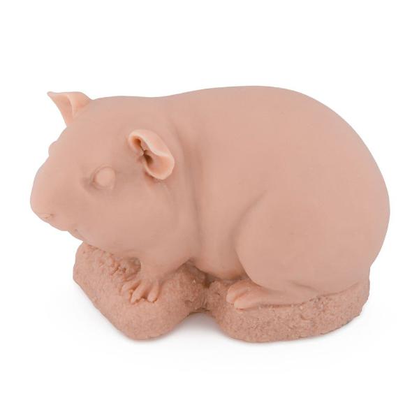 Professional Guinea Pig Practice Skin - 1 Pound Realistic Training Material for Veterinary Students & Tattoo Artists - Perfect for Surgical Practice & Ink Technique Training