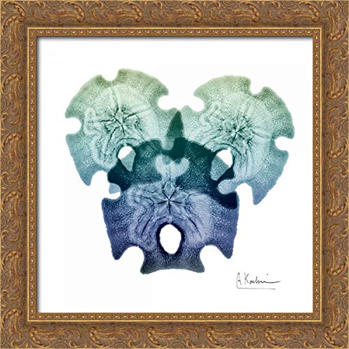 Albert Koetsier 28x28 Gold Ornate Framed Canvas Art Print - Sea Sky Sand Dollars Wall Decor for Living Room, Bedroom & Office