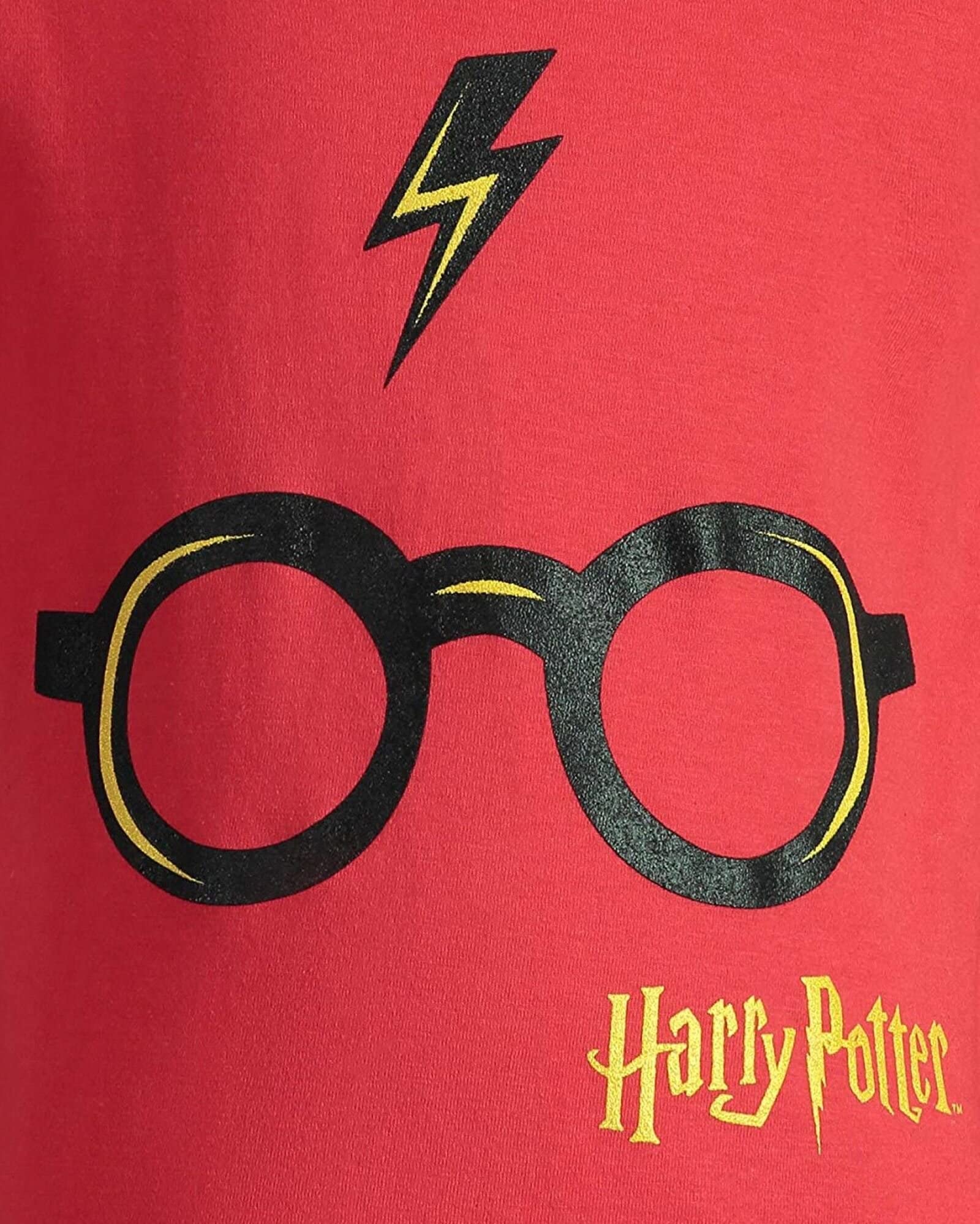 Harry Potter 3 Pack Pullover Hooded T-Shirts for Kids | Sizes 2T-12 | Gryffindor, Slytherin, Hufflepuff, Ravenclaw House Designs | Perfect for School, Halloween Costumes & Harry Potter Themed Parties