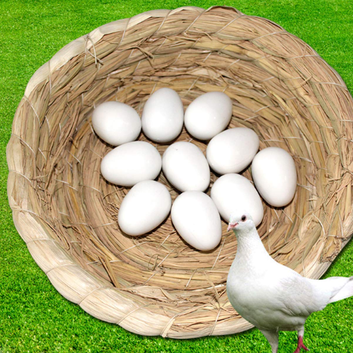 Balacoo 10pcs Small Bird Toys - Fake Pigeon Eggs for Training & Nesting, Solid White Bird Laying Eggs Supplies, Funny Toddler Toys & Birdcage Decor - Perfect for Pigeon Breeding, Bird Training, and Kids Pretend Play