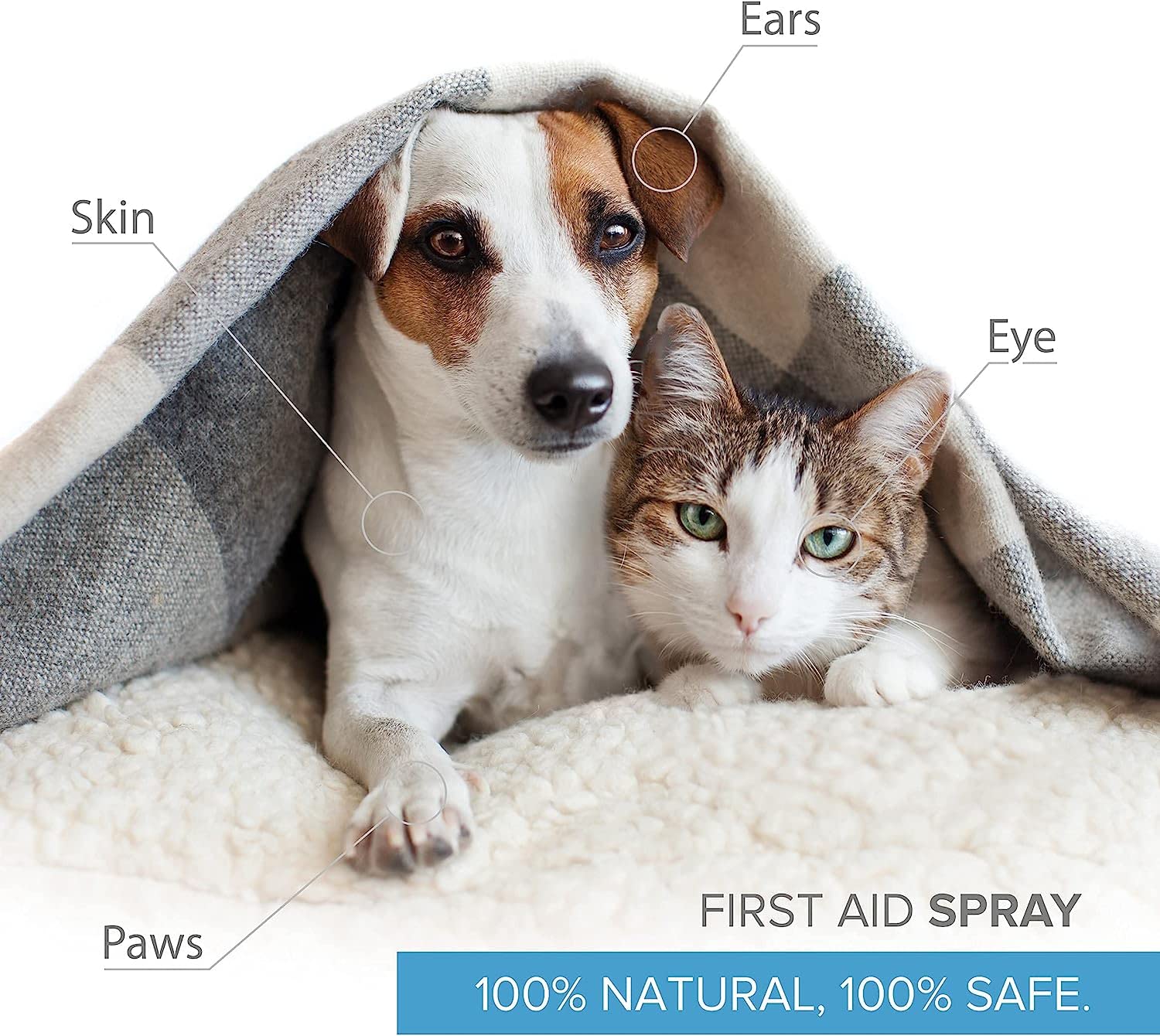 **Colloidal Silver Antiseptic Spray for Dogs & Cats – Natural Antibiotic Treatment for Skin Issues (Itchy, Allergy, Hotspot, Yeast, Dry) – Wound Care for Ear & Eye Infections – 100% Organic Pet First Aid Solution – Perfect for Daily Grooming & Post-Surgery Recovery**