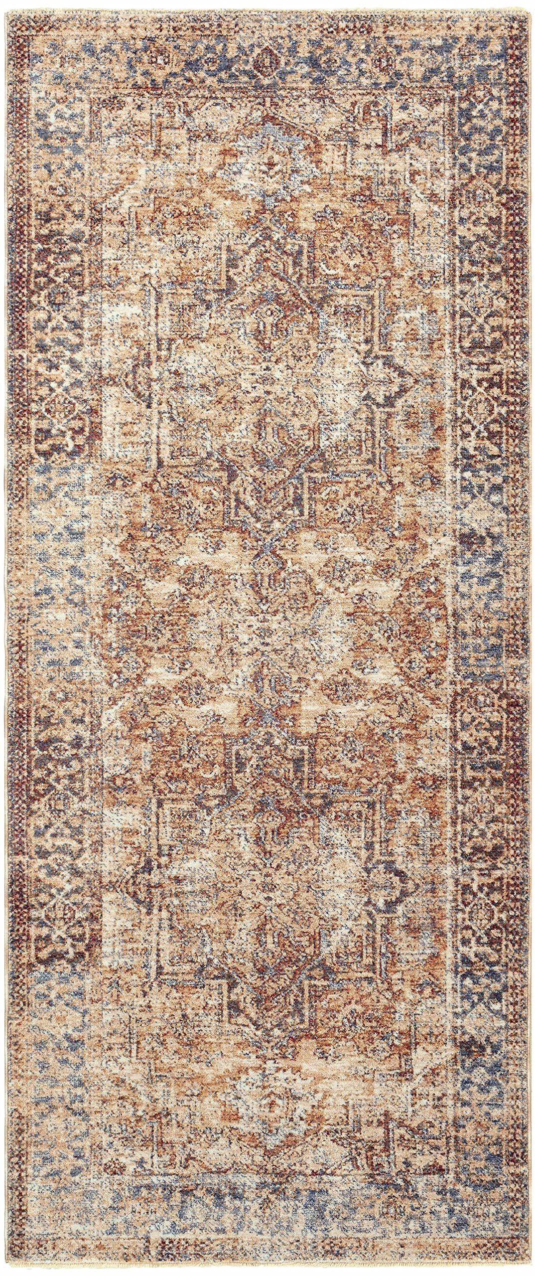 Hauteloom Onley Traditional Area Rug 2' x 3'3