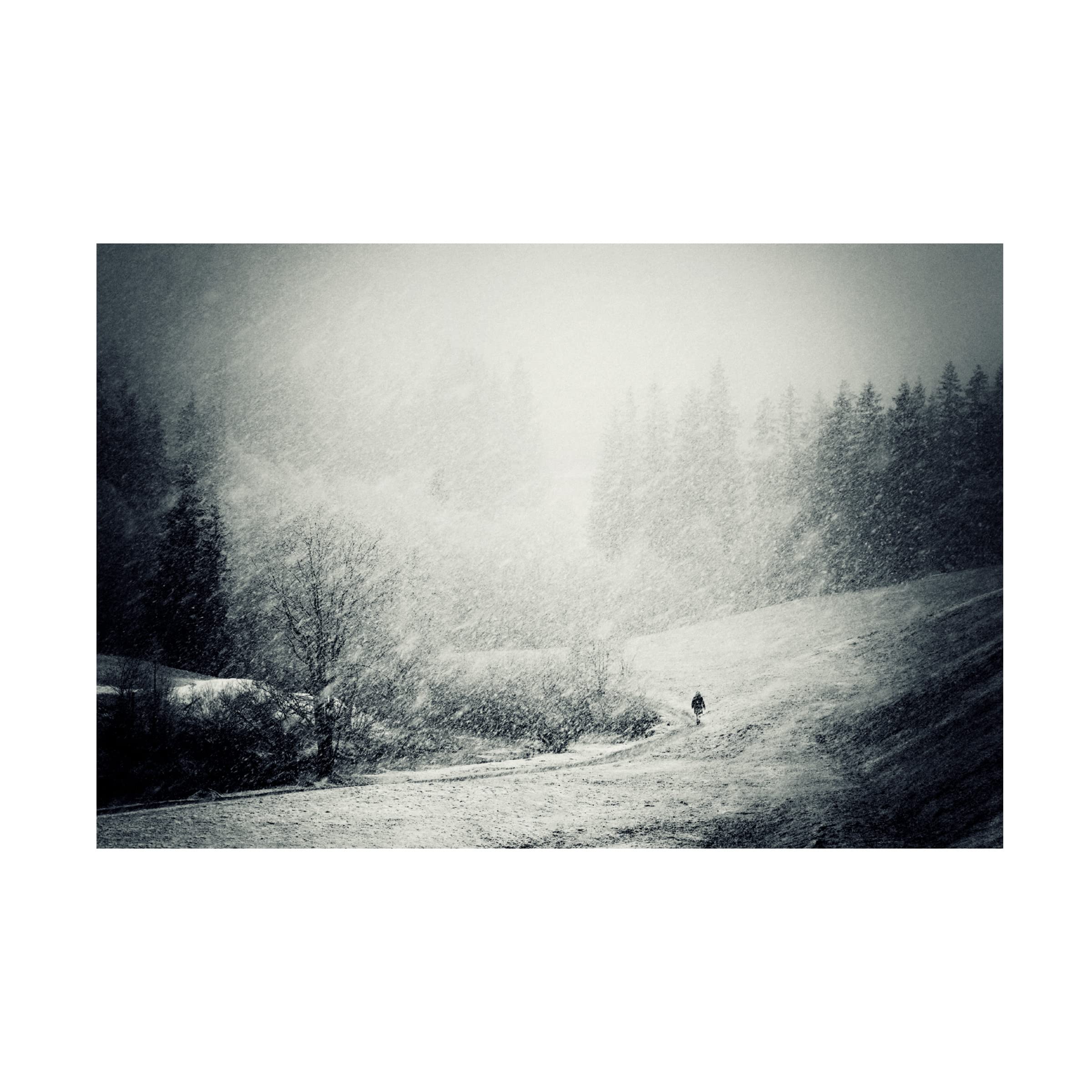 Trademark Fine Art 'Fog Snow Storm' Canvas Wall Art Print by Andre Gehrmann - Modern Landscape Painting for Living Room, Bedroom & Office Decor