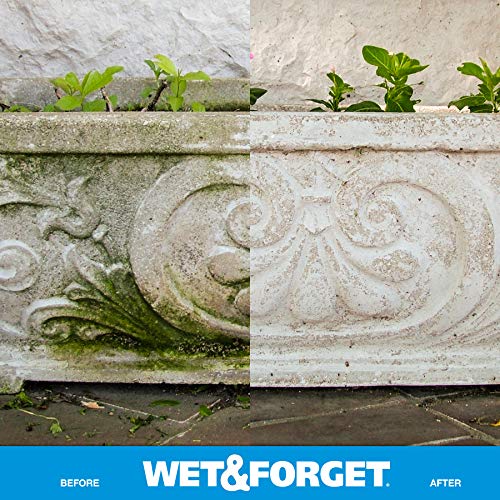 Wet & Forget Outdoor Multi-Surface Cleaner - Moss, Mold, Mildew & Algae Stain Remover | Ready-to-Use 64oz (4-Pack) | Perfect for Driveways, Patios, Roofs & Fences