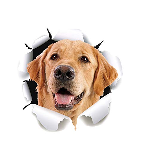 Cute Dog Head