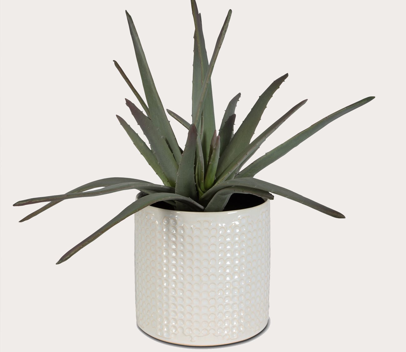 Taos Faux Aloe Plant Centerpiece - Realistic Artificial Succulent for Home Decor, Office Desk, Wedding & Table Decorations