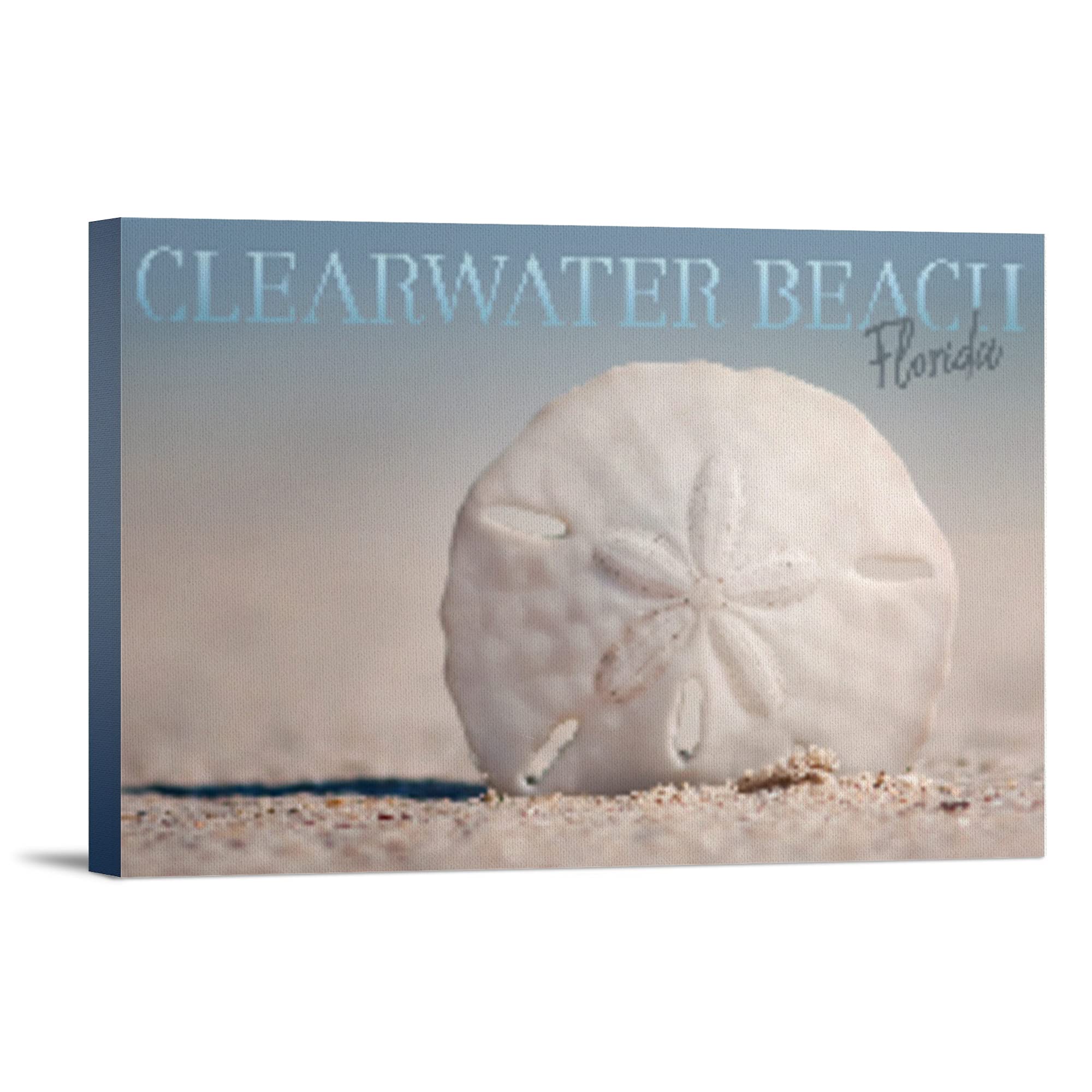 Florida Clearwater Beach Sand Dollar Wall Art - 16x24 Wrapped Canvas Print, Coastal Home Decor, Beach House Artwork - Perfect for Living Room, Bedroom or Office Decor