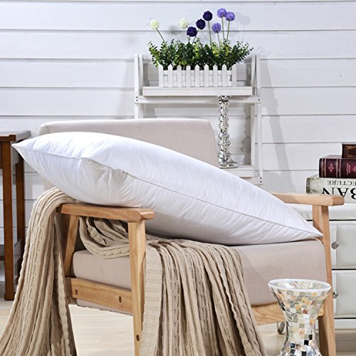 Premium White Goose Down Firm Pillow - 700 Fill Power, 38.8 oz, Size 18.9