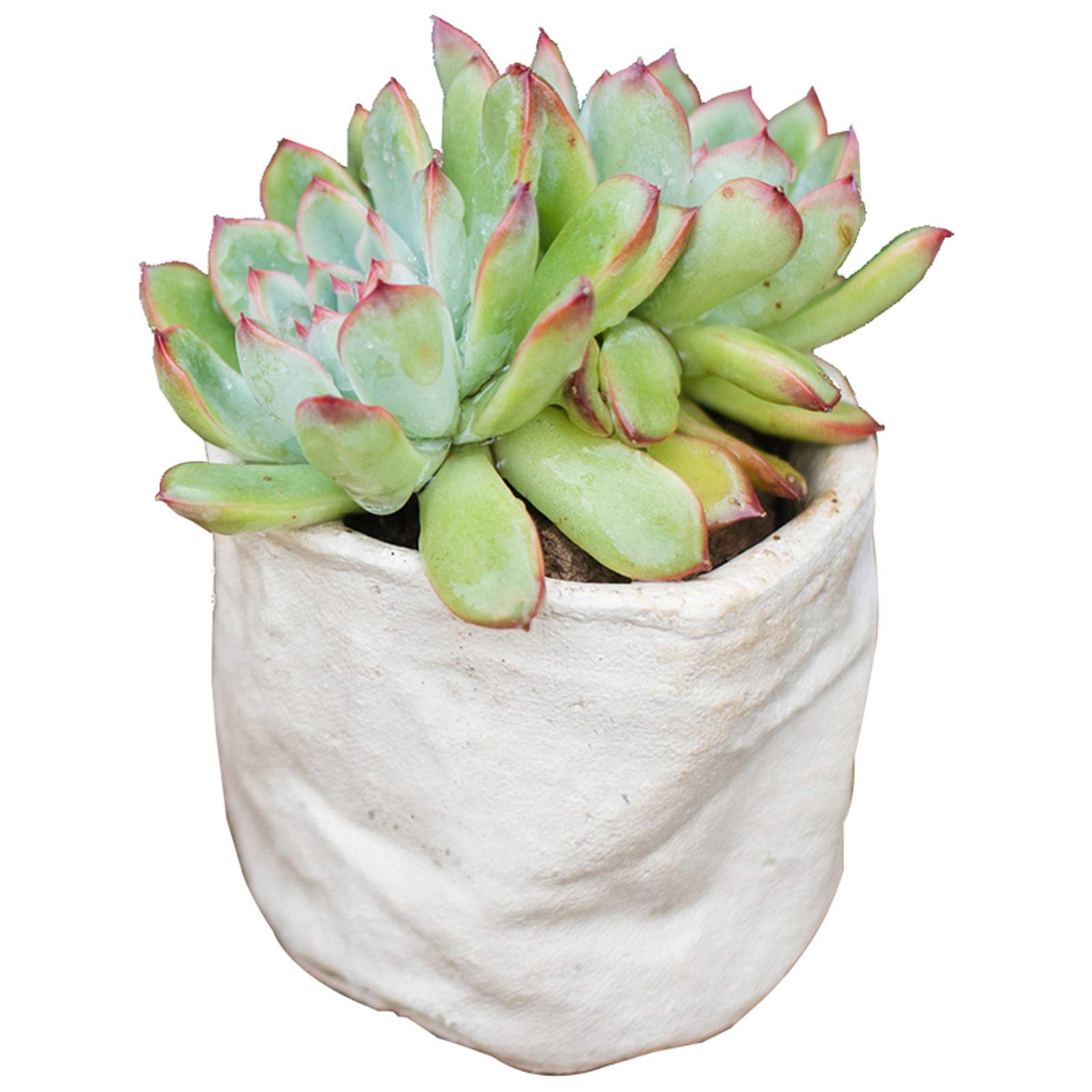 White Ceramic Succulent Planter with Drainage Hole - Indoor Outdoor Flower Pot for Plants, Home Decor, Garden & Office Use - Perfect for Cacti, Herbs & Small Houseplants