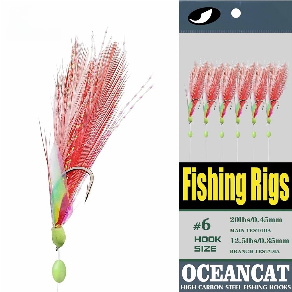 10 Pack Saltwater Fishing Rigs - 2pcs White & Red Feather with Rainbow Skin & 6 Hooks - Premium Bait Rig Tackle for Offshore, Surf, and Pier Fishing