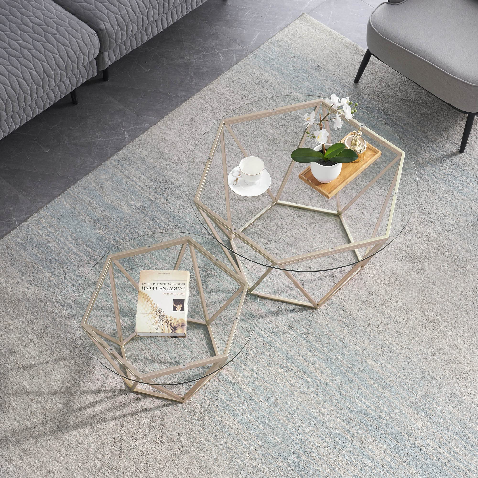ivinta 2-Piece Round Nesting Coffee Table Set - Modern Tempered Glass Living Room Tables with Gold Metal Frame Legs (31.5 & 23.6 Inch) - Perfect for Small Spaces, Apartments & Lounge Areas