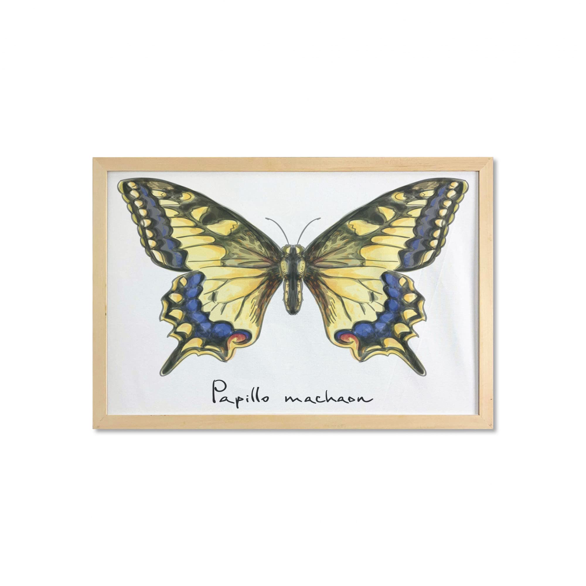 Ambesonne Swallowtail Butterfly Wall Art - Watercolor Yellow Papilio Machaon Framed Fabric Poster 35x23 Inches | Yellow Blue Black Home Decor for Bathroom, Living Room, Bedroom & Dorm | Nature Inspired Wall Hanging for Home & Office Decor