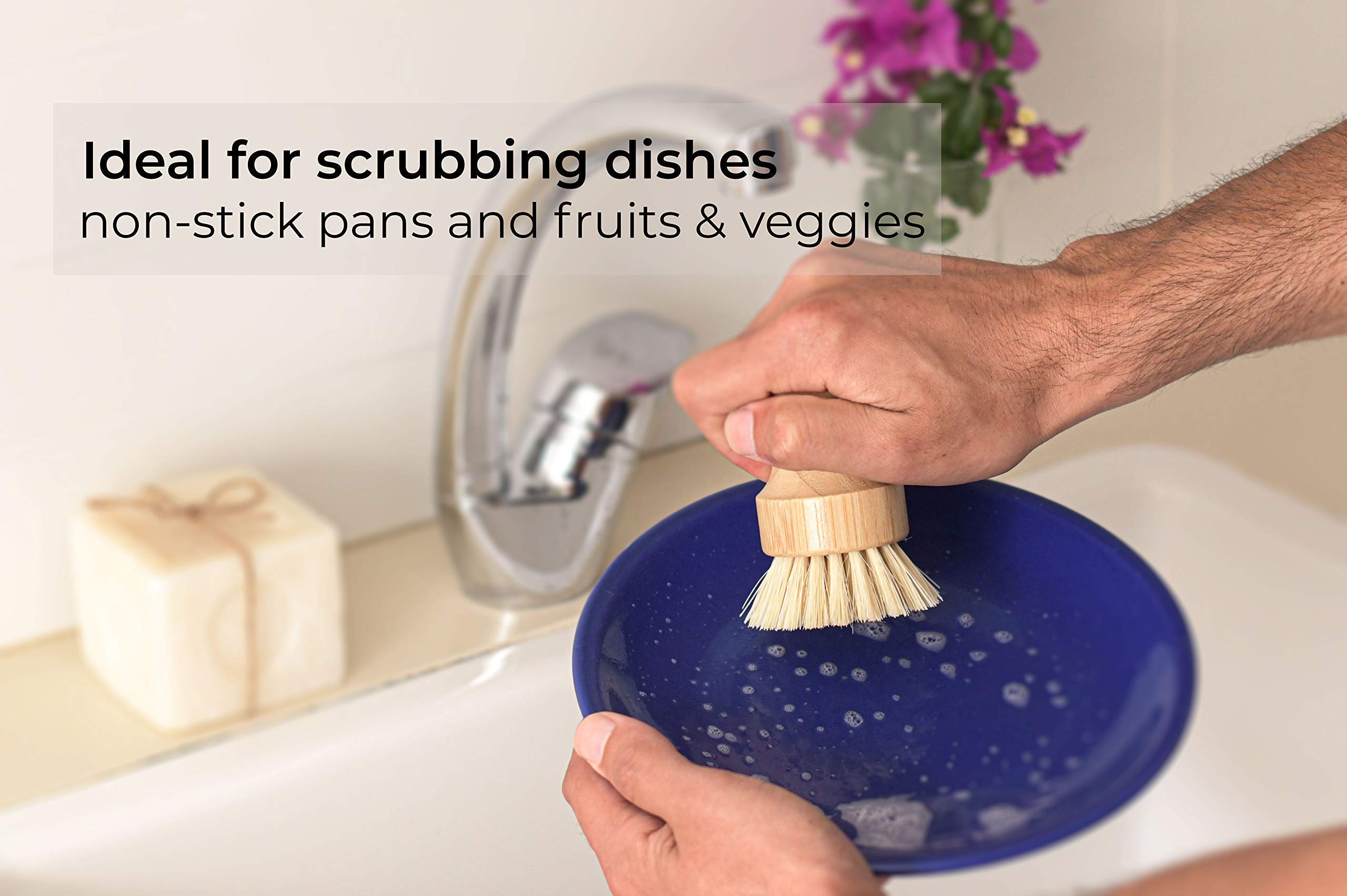 Eco-Friendly Bamboo Dish Brush Set - 3 Pack for Kitchen & Veggies
