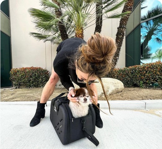 Petique The Traveler Pet Carrier - Airline Approved Soft-Sided Dog & Cat Carrier for Travel, Vet Visits & Outdoor Adventures | Lightweight & Breathable