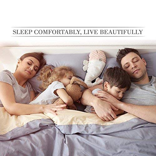 Luxury 550-TC Egyptian Cotton Queen Size Pillowcases (20x30 Inches) - Soft & Breathable Bedding Set, Striped Taupe Pillow Covers for Sleeping, Hotel, Home Decor & Gift
