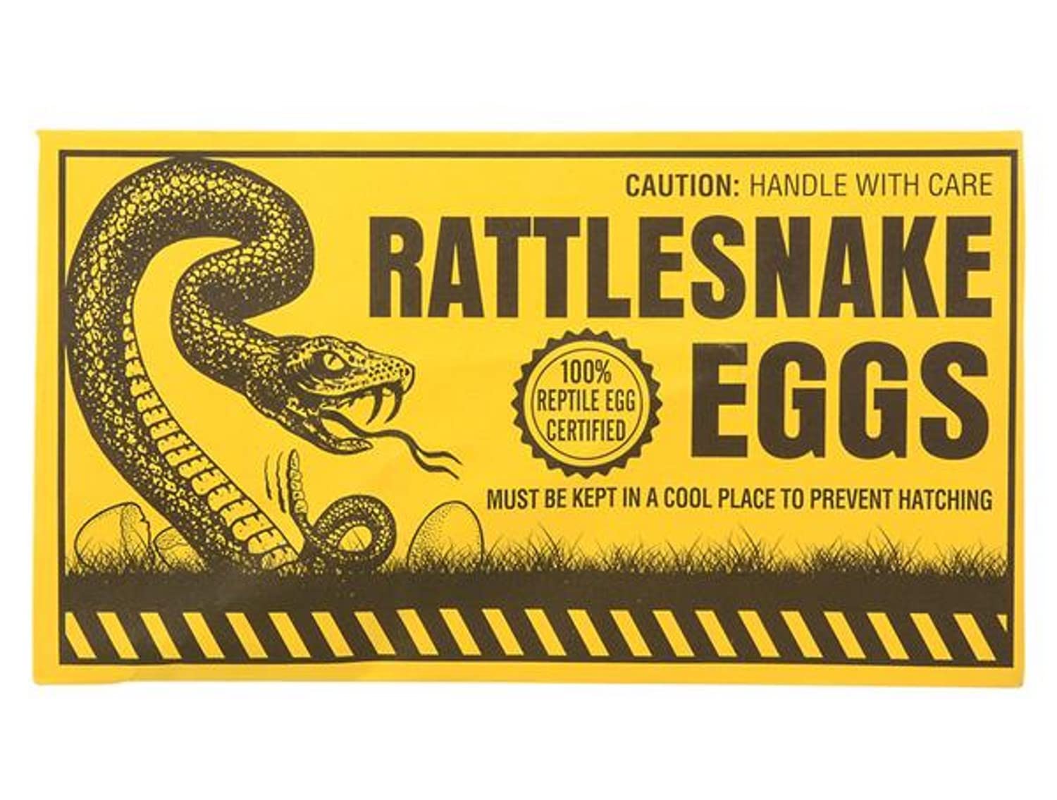 Rhode Island Novelty Joke Rattlesnake Egg Envelope - Set of 6 Prank Gifts for Friends, Office Pranks & Halloween Party Favors