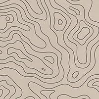 Wild Terrain