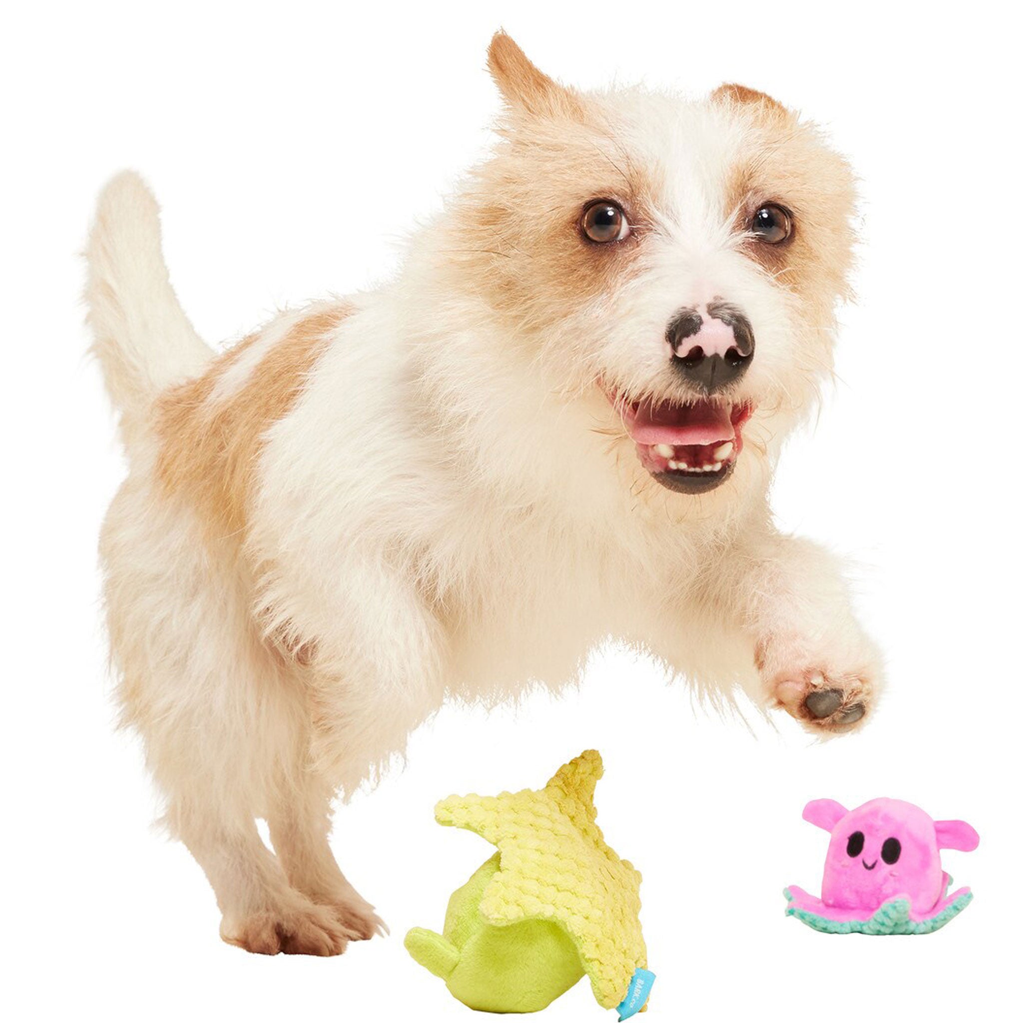 Durable Squeaky Dog Toy for Small Dogs - Bark Lil Squirts Plush Chew Toy for Puppies & Training - Fun Interactive Pet Gift for Indoor & Outdoor Play