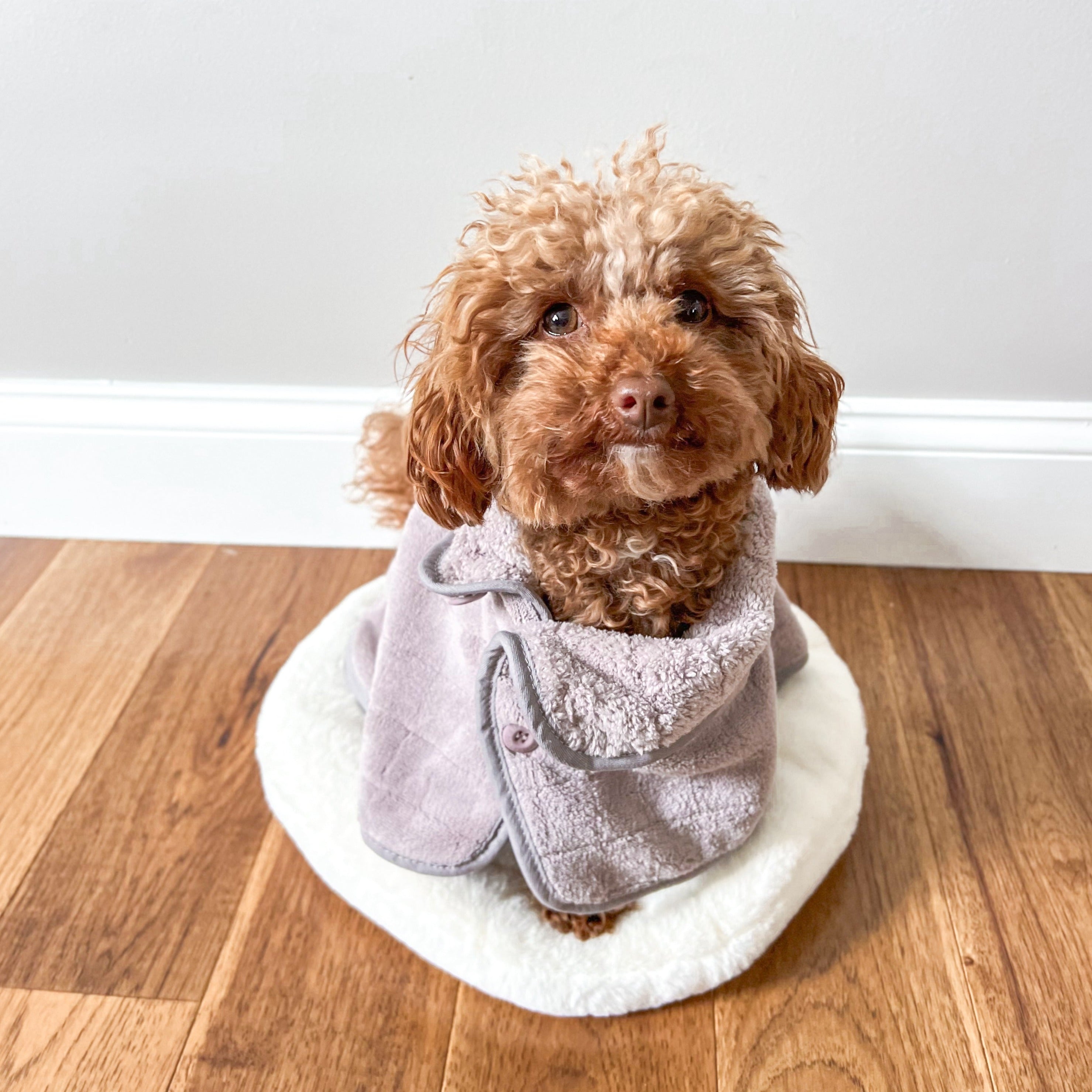 Soft & Cozy Baby Fleece Bathrobe - Warm Hooded Toddler Robe for Boys & Girls - Perfect for Post-Bath, Swimming, and Lounging at Home