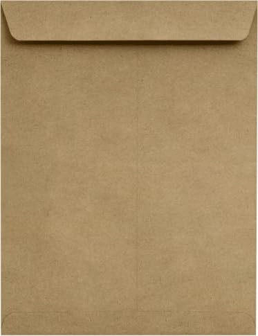 Brown Grocery Bag