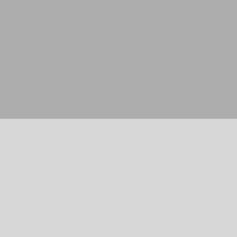 Gray/Silver